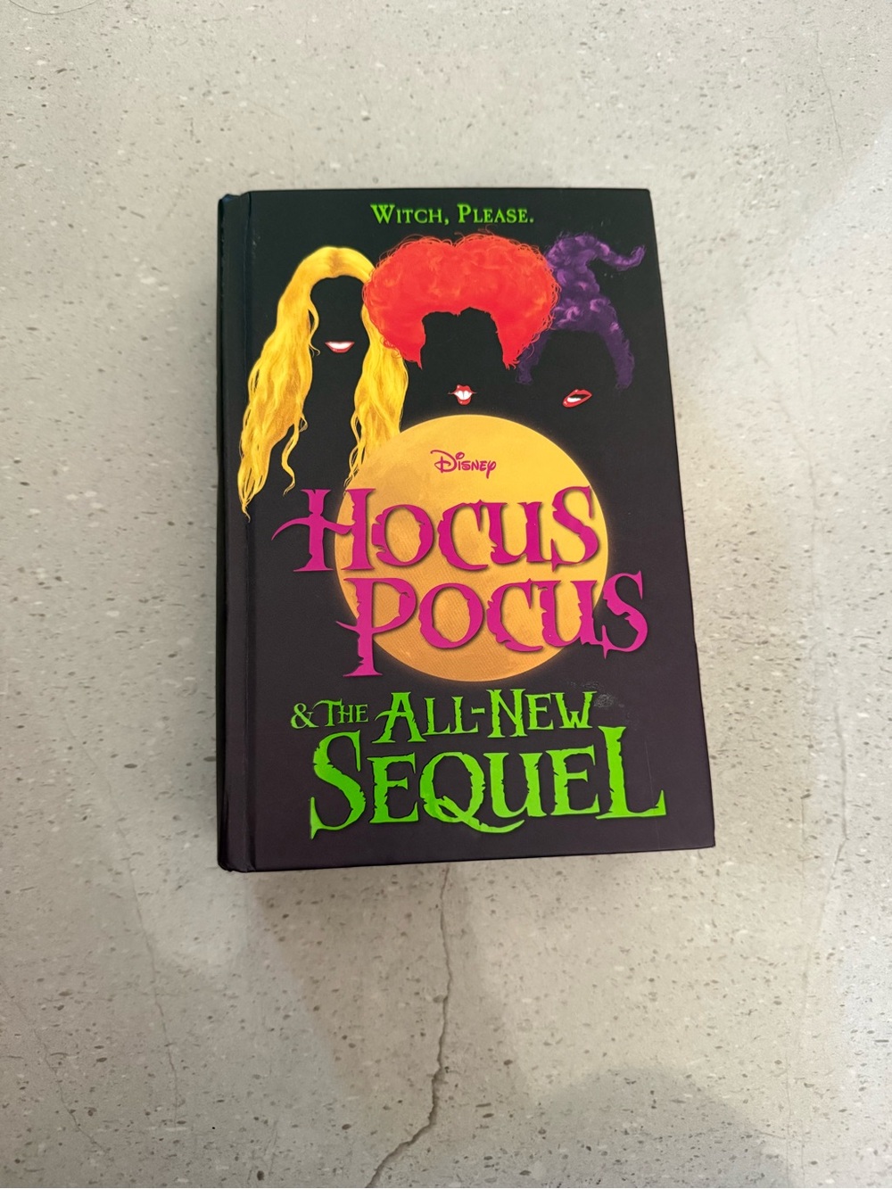 Disney Hocus Pocus Sequel Decorative Hardcover - Black